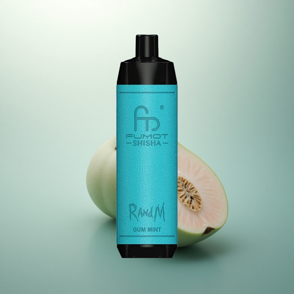 RandM Fumot Shisha 10000 Puffs علكة النعناع مع مؤشر LED و0.5% نيكوتين
